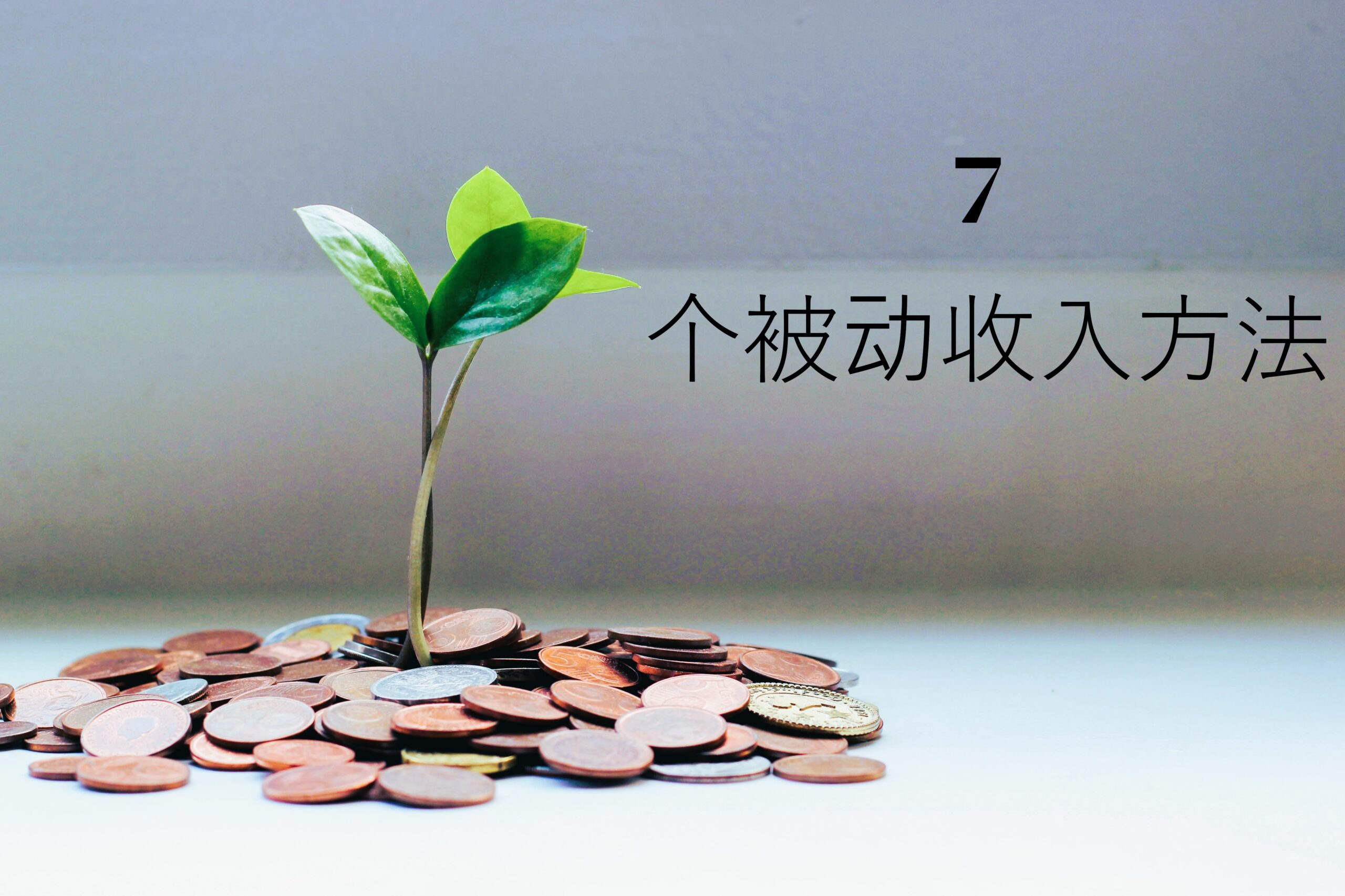 如何建立被动收入并实现财务自由